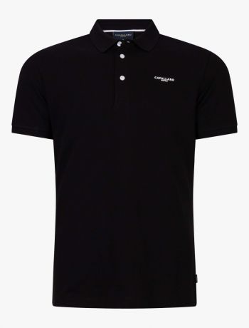 The Polo