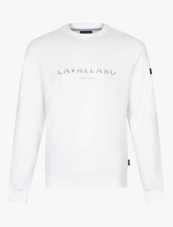 Investeren Eekhoorn Wauw Heren Sweaters | Cavallaro Napoli