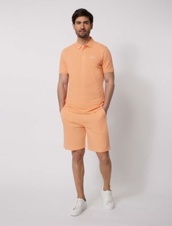 Cosimo Polo