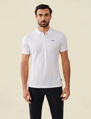 The Polo