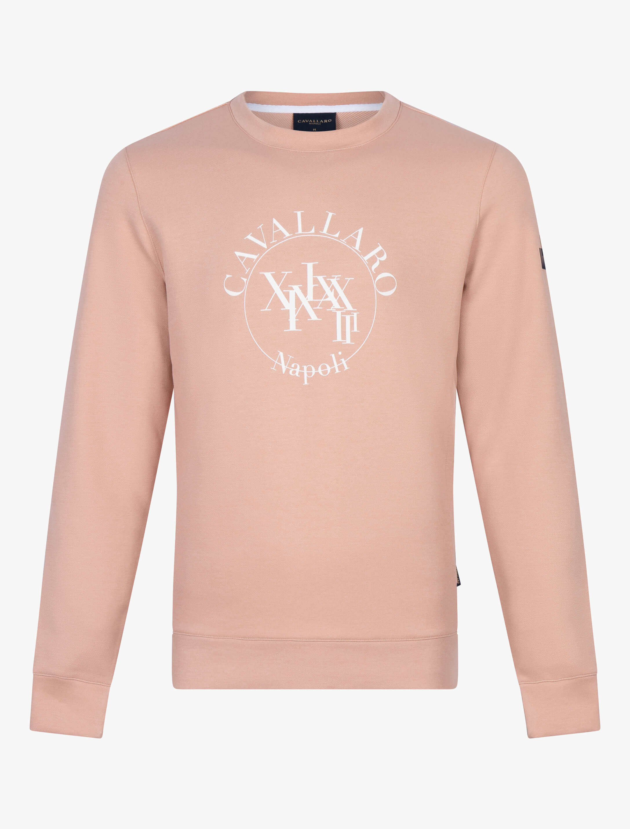 Roze Sweater Heren