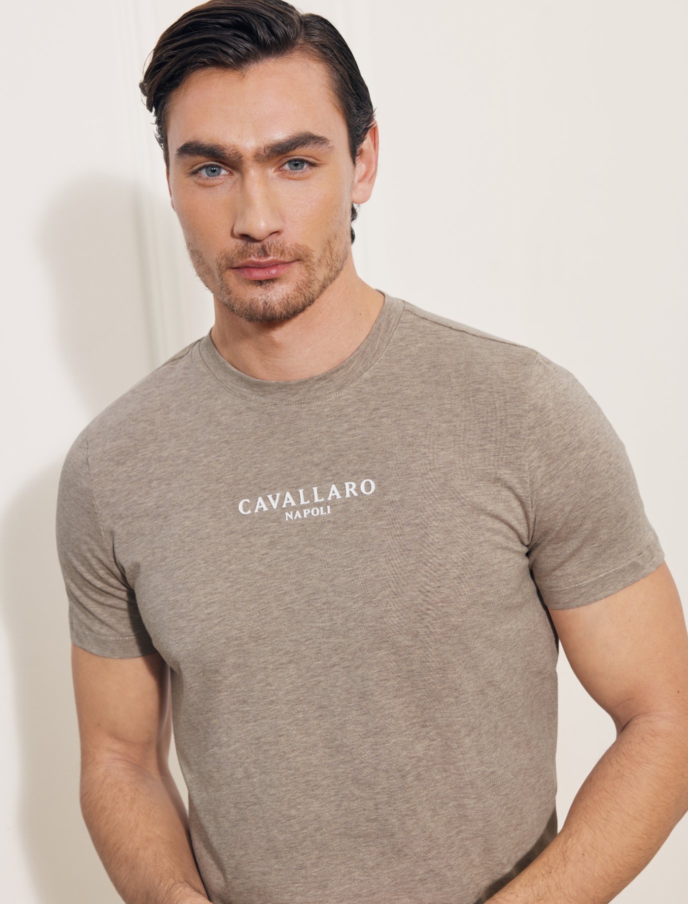 T-shirts Heren